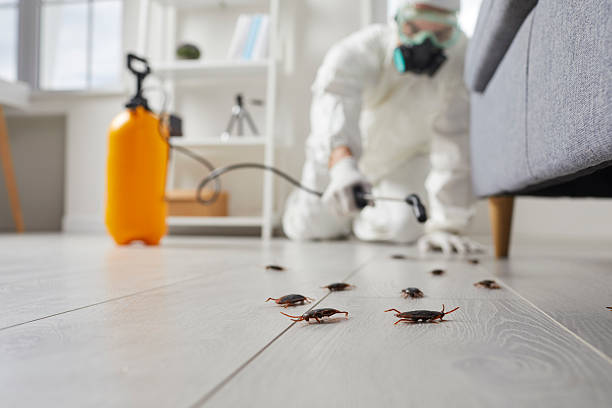 Commercial Kitchen Cockroach Control in Estill Springs